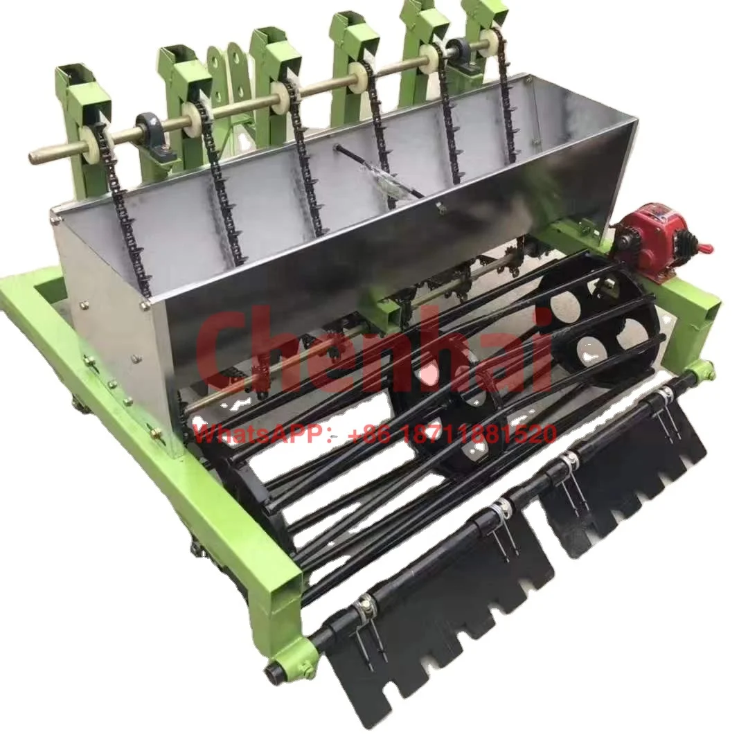 

Wholesale Price Tractor Driven 6 Rows Garlic Seeder Planter Equipment/Agricultural Garlic Seed Seeding Sowing Machine