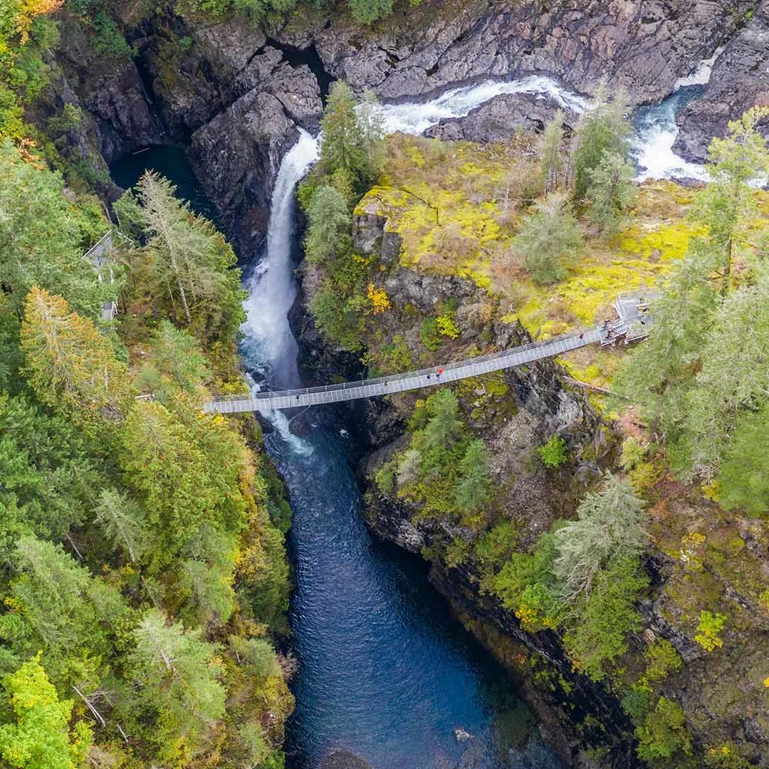 Car Multimedia Video Player 12.1