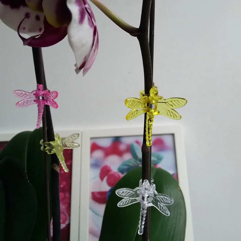 30pcs/bag Dragonfly Orchid Clips Orchid Grower Support Garden Plant Plastic Vine Fixation Clamp Color Mixing