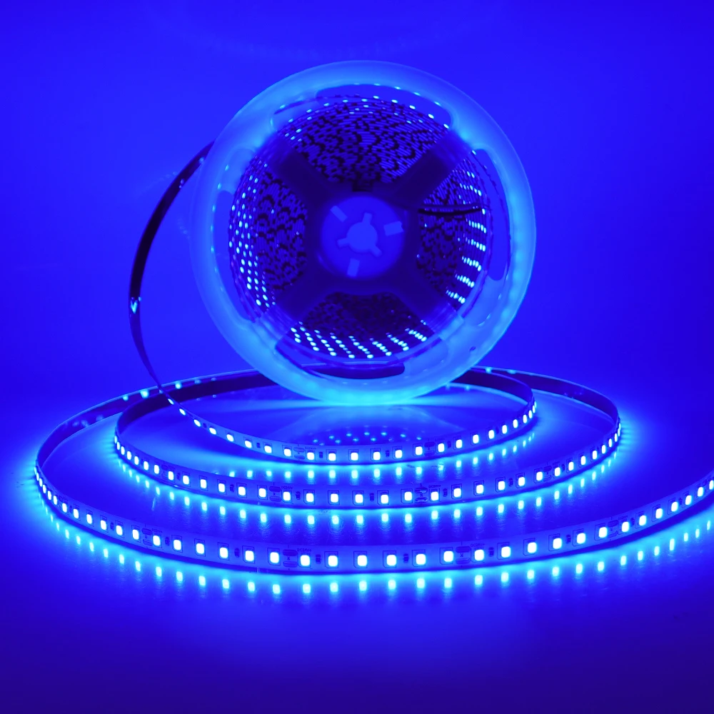 12V 24V 5m 10m 20m 50m 100m LED Strip Light 2835 120 LEDs Flexible Tape Bright 8mm PCB 13 Colors Home Decoration Not Waterproof