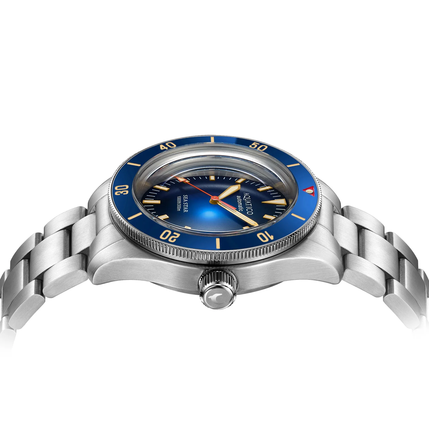 Aquatico Sea Star Blue Dial Ceramic Bezel (NH35 NO DATE)