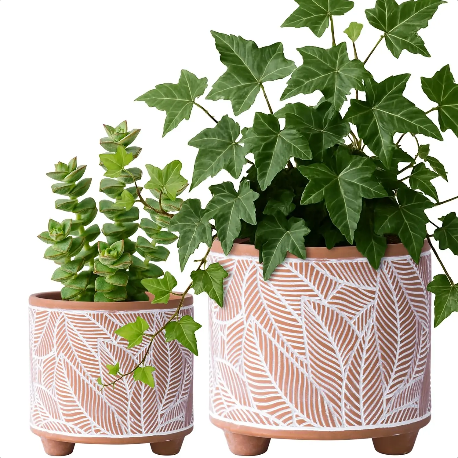 

Set of 2 Terracotta Planter Pots, 4 Inch & 6 Inch, Design Plants Pot with Drainage Hole, Sahara Fern, Terracotta/White,