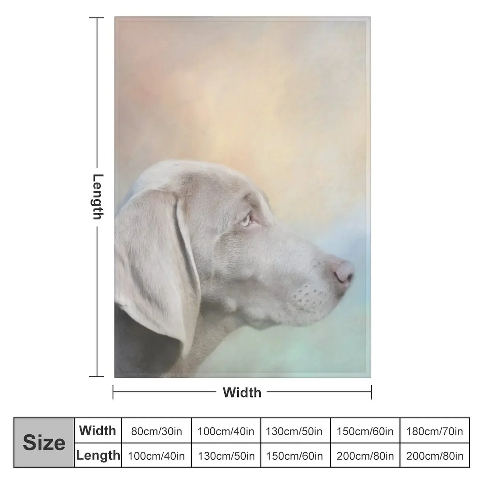 Beautiful Weimaraner Dog Throw Blanket Weighted Soft Blankets