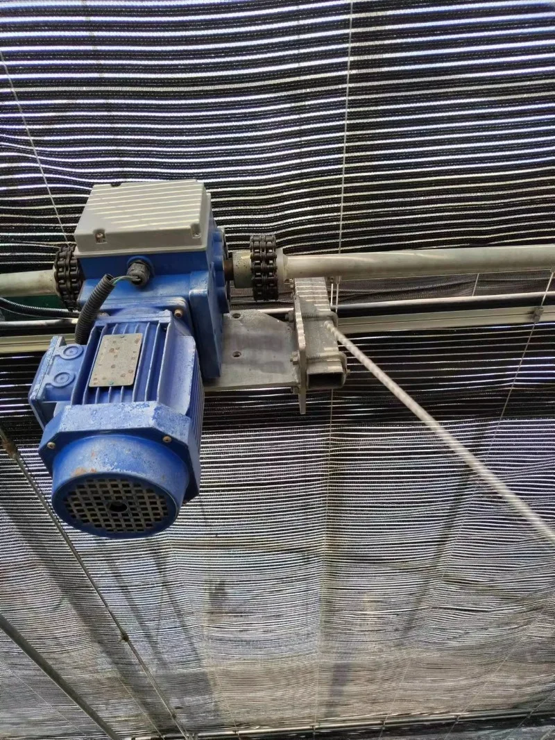 Factory Price Gear Motor for Greenhouse Shading Driving System