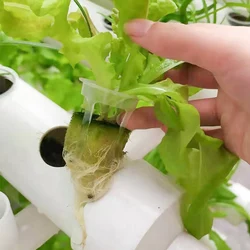 DIY Home Garden Balcony Vegetable Planter Fittings Agriculture Greenhouse Indoor Vertical PVC Pipe NFT Hydroponic Grow System