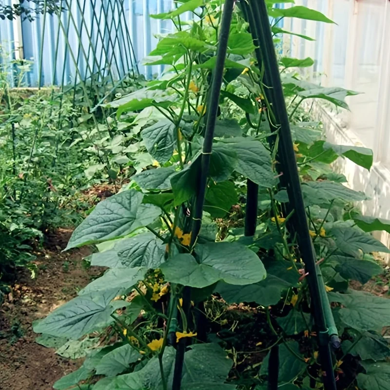 1 set of 30pcs (including 15 bamboo poles, 3 A-forks, 6 universal buckles, and 6 connecting pipes) suitable for vine support rod