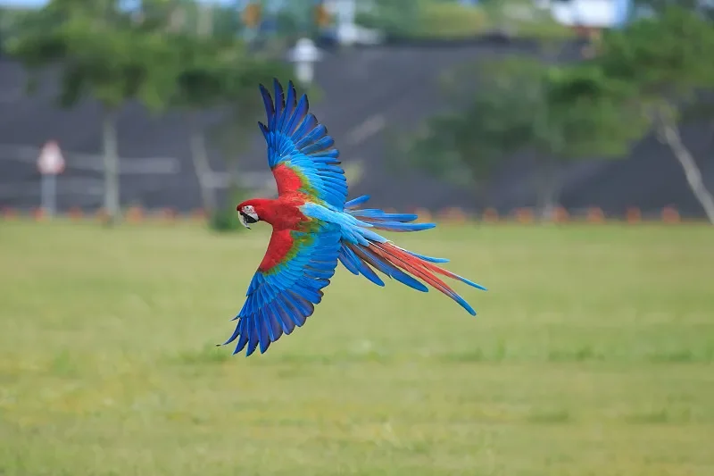 

HPXGRC 5,8 ГГц, 1 Вт, 64-битный FPV VTX — стабильный сигнал и сильное проникновение для радиоуправляемых дронов