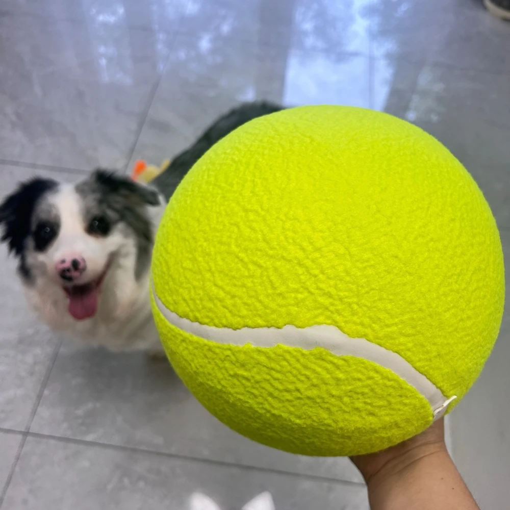 Thumbnail 4 - #38 Top Rubber Dog Toys Picks for Every Budget