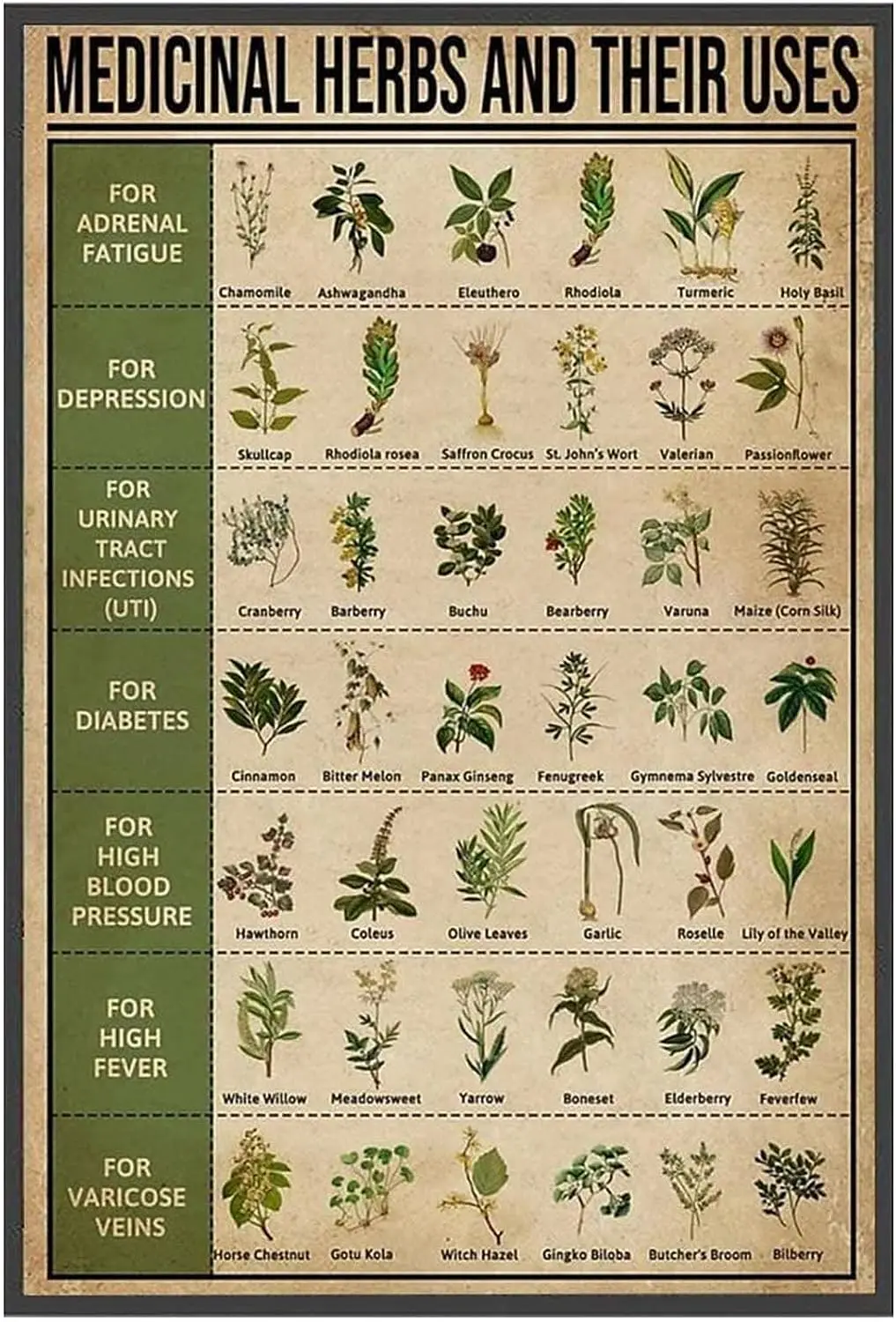 Metal Signs Medicinal Herbs and Their Uses Medicinal Plants Knowledge Retro Tin Sign Vintage Aluminum Sign for Kitchen