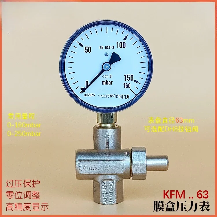 Pressure gauge Press test valve Button valve/micro  , membrane box gauge Anti-overpressure protection valve DH8R50 DH15R50