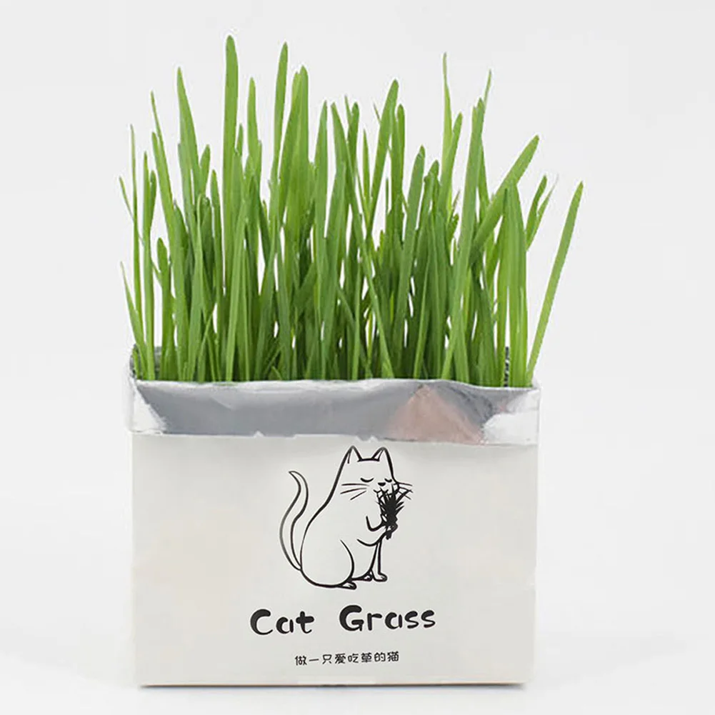 Pet Cat Grass Potted Hydroponic Plant Set Cat Grass Snack To Hair Ball Cleaning Stomach Grass Pet Supplies Without Plant Seeds