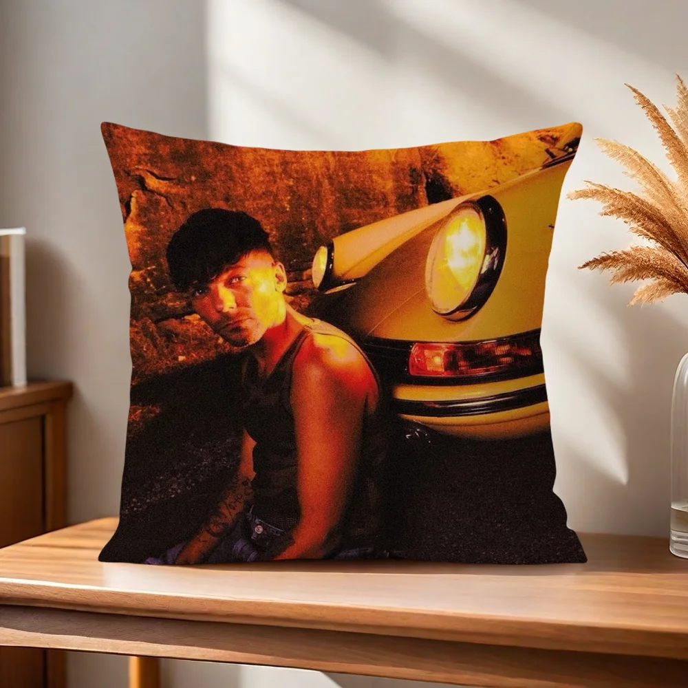 L-Louis How Did I Get Here T-Tomlinson Kissenbezug Kissenhülle für Zuhause, Sofa, Wohnzimmer, Büro, Café, Auto – Detail 5