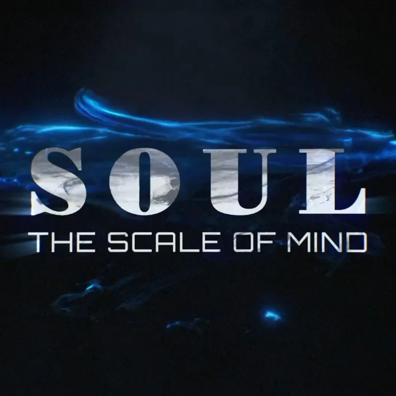 

SOUL-THE SCALE OF MIND Magic Tricks High-tech Sensor Card Prediction Gimmicks Magician Mentalism Props Close Up Street Illusions