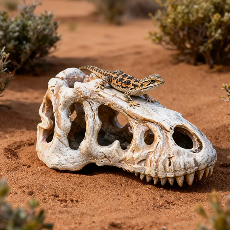 Animal Skull Feeding Box Decor Reptile Habitat Hideout Snake Lizard Gecko Spider Terrarium Hide Reptile House Landscape Decor