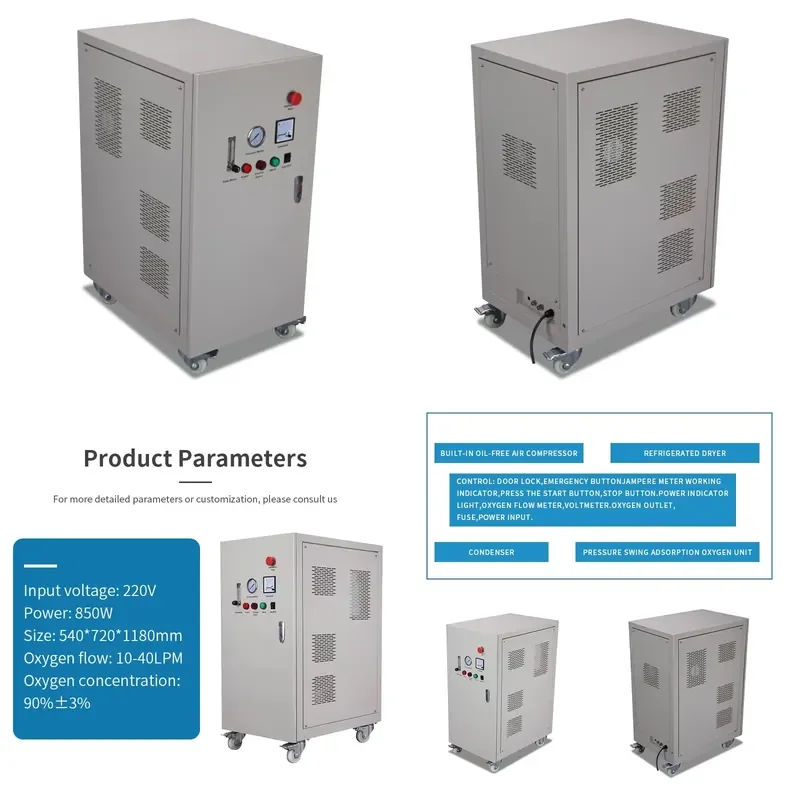 for Aquaculture Farm 20L Industrial Oxygen Generator Price