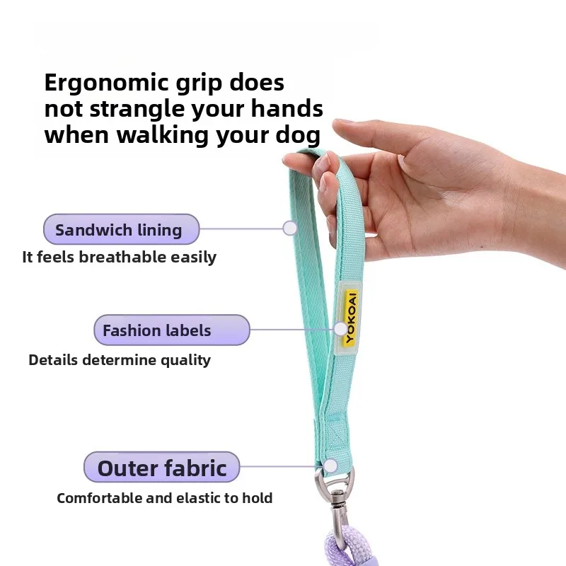 Gradient P-Rope Dog Leash 1.2m Anti-Pull｜Wide Neck Pad｜10mm/12mm｜No Tangle｜All Breeds