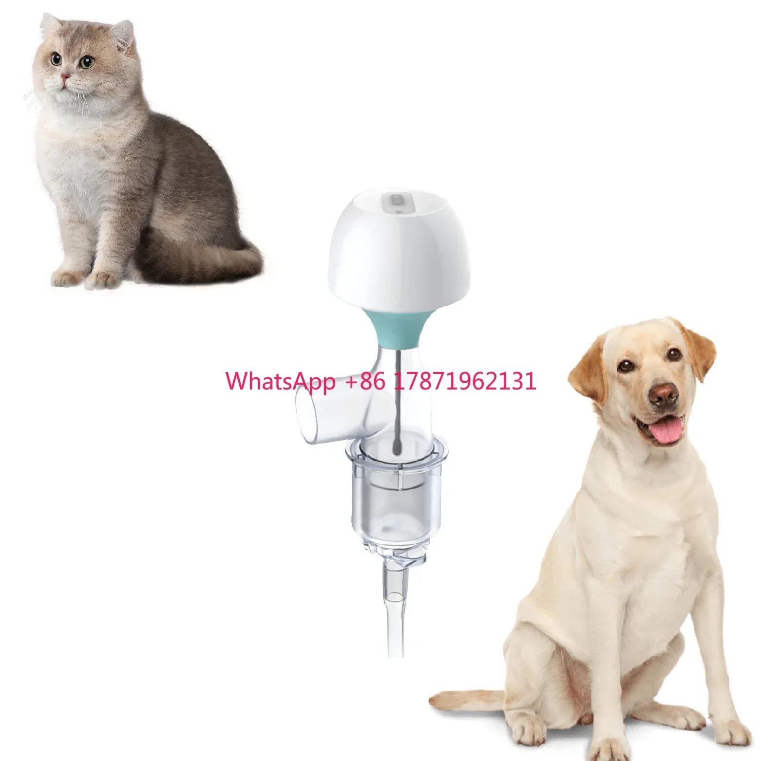 Yonker Veterinary Clinic Instrument Surgery Prime Indicator Device  Pet Breathing Safe Respiratory Monitor