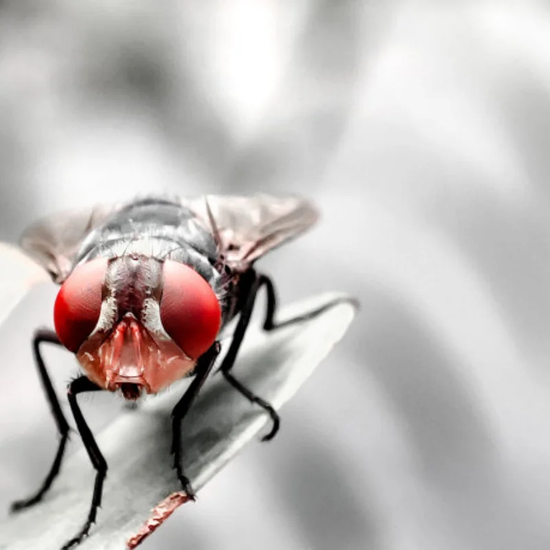 

Латунный корпус портальной оси, противовес для MJX H8H Absima YK4102 YK4103 YK4106 YK4082 YK4083 1/8 1/10, детали для обновления радиоуправляемого автомобиля