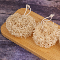 Loofah Core Dish Sponge Dish cleaning Natural Useful things for kitchen Loofah scrub brushes loofah dishwashing sponge