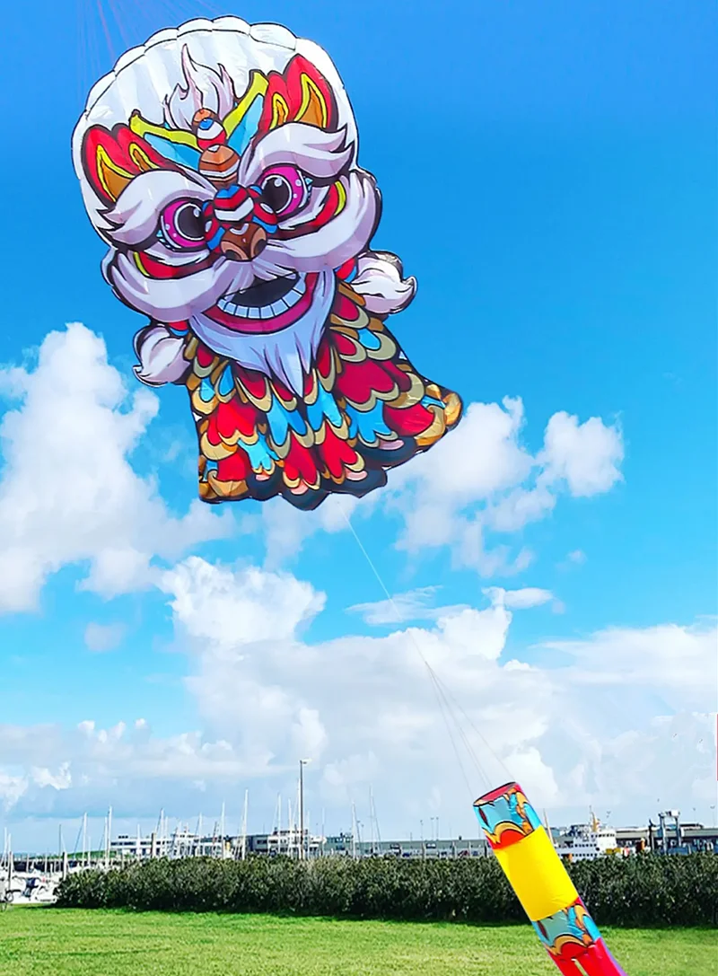 لاكي الأسد طائرة ورقية تحلق طائرة ورقية ناعمة للبالغين الطائرات الورقية خط الطائرة الورقية التقليدية نفخ ألعاب لعبة رياضية المظلات cerf volant متعة