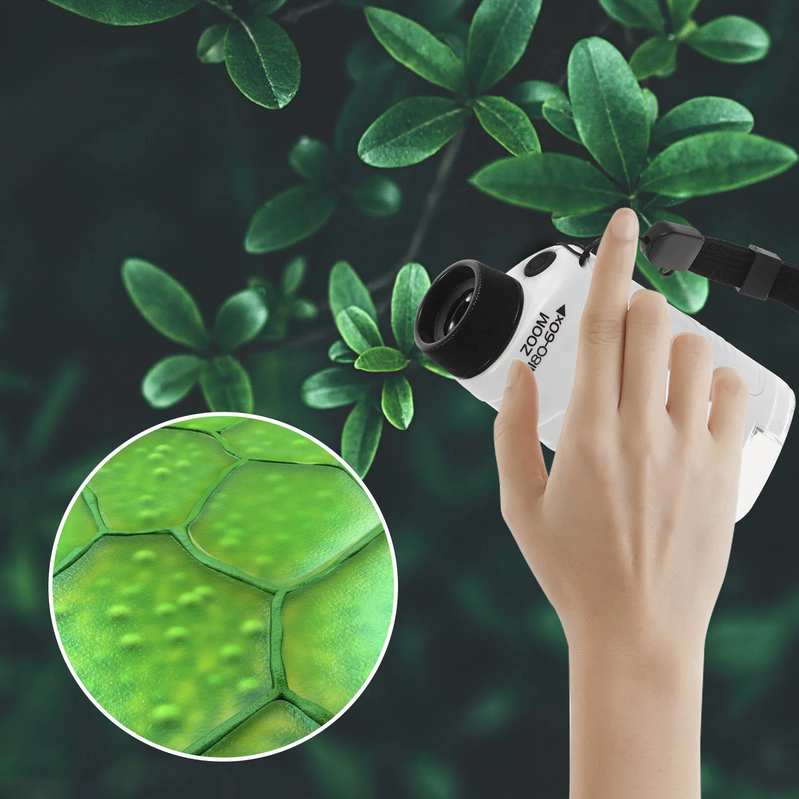 Microscópio portátil para crianças, ferramenta de observação biológica de bolso portátil de alta definição para estudantes, experiências científicas ao ar livre