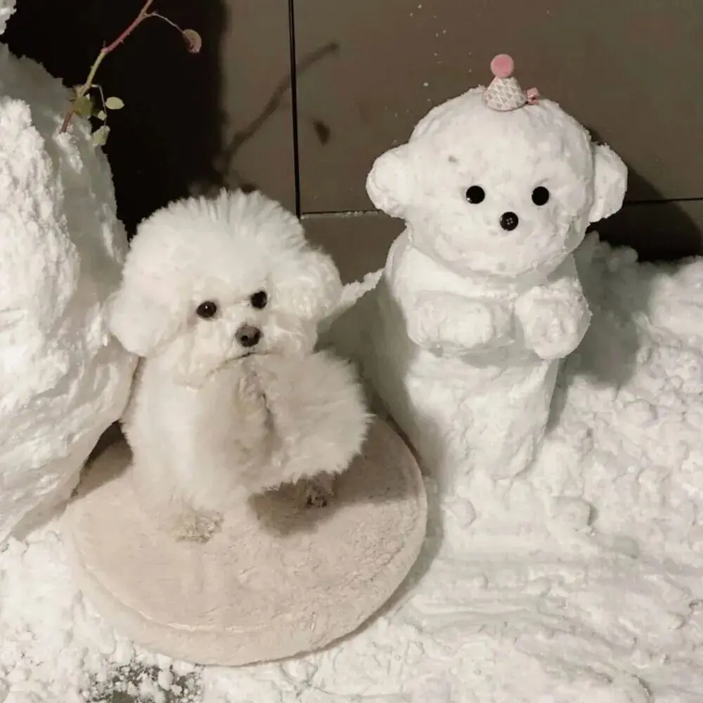 

Керамическое УФ-покрытие CQUARTZ DLight для фар автомобиля: Долговечная защита для фар и пластиковых элементов PPF