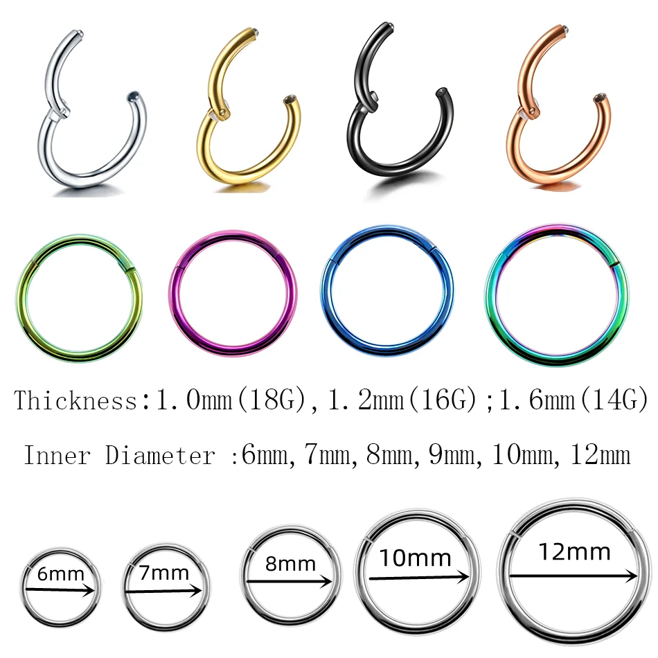 Titanium Hinged Segment Nose Ring Septum Piercing Clicker Nose Pierc Ring Ear Helix Earring Piercing Body Jewelry For Women Men