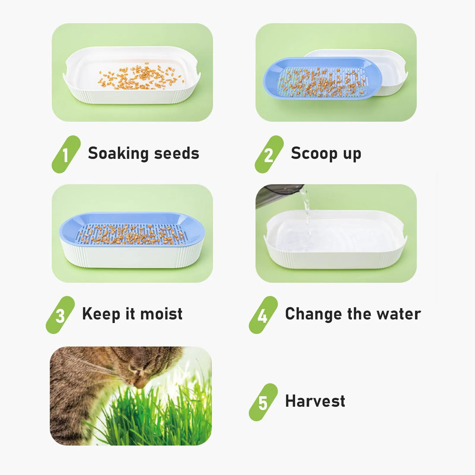 Nursery Tray Seed Germination Tray Cat Grass Growing Set Layered Feline Soilless Convenient Cat Grass Set 3 Styles Pet Supplies image 3