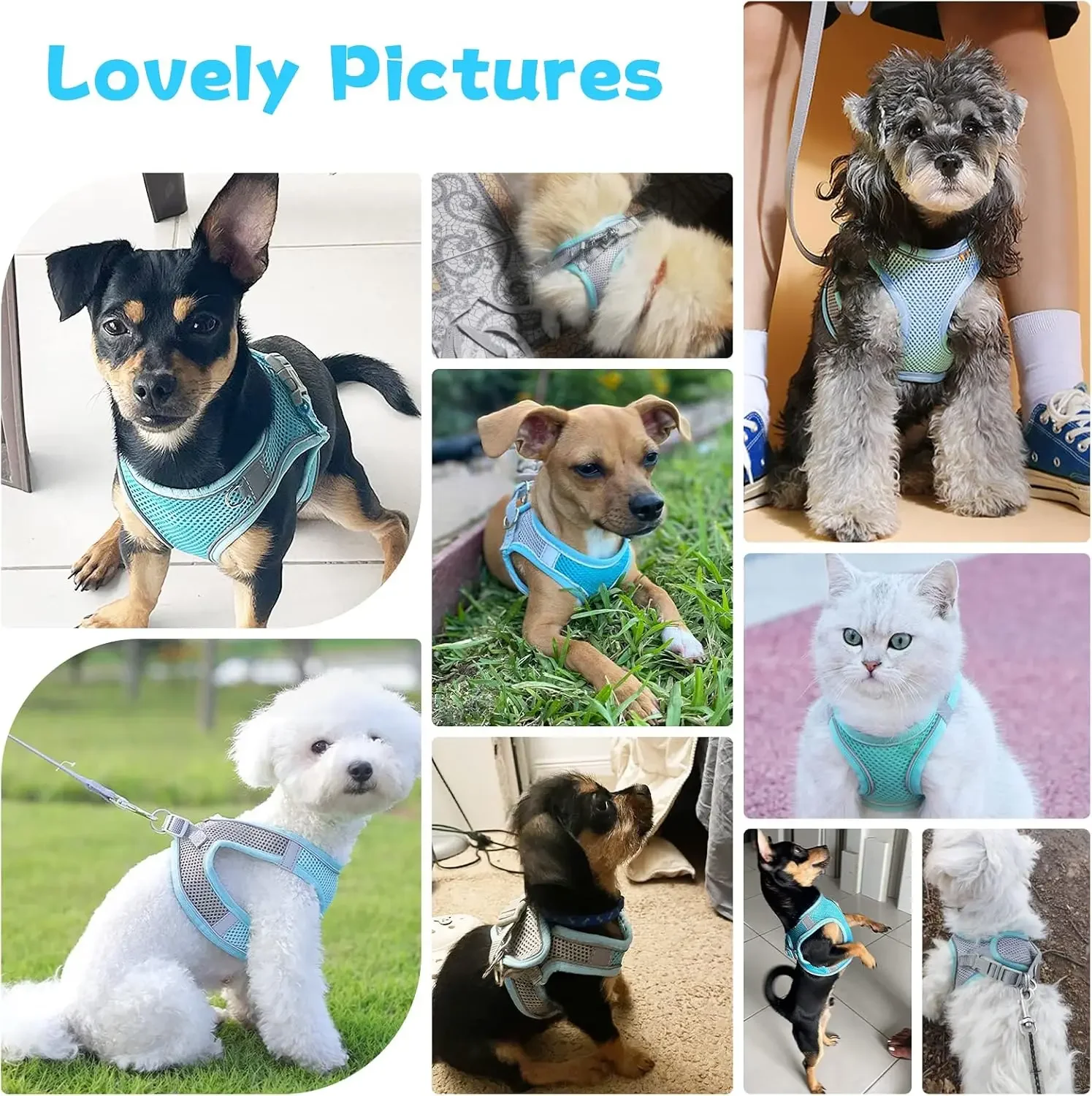  Adjustable Breathable Pet Vest Puppy Cat Harness Leash Set for Small Dogs Cats French Bulldog Chihuahua Walking Lead Leash - view 5