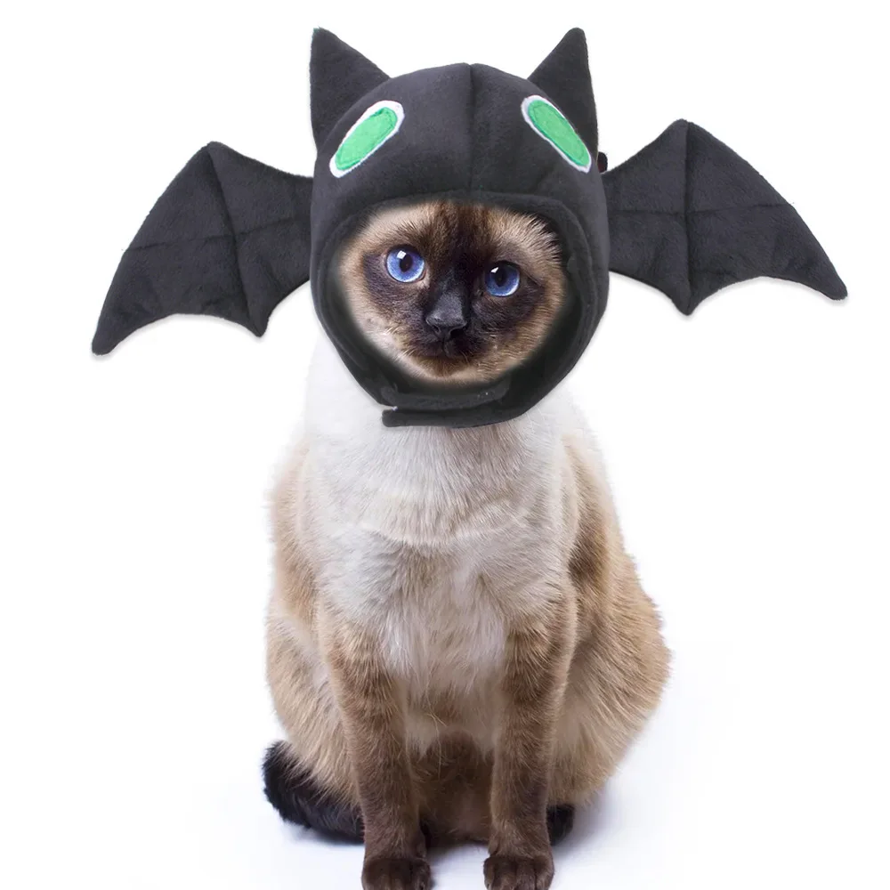

Halloween Pet Hat Cat Bat Headgear Cat Hat Cat Headwear Cute Spooky Holiday Pet Dress Up Accessory Hot Selling for Cats