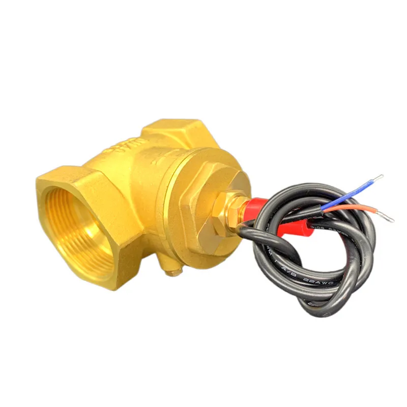 

Water Flow Sensor Signal Flow Switch DN40 1.5 Inch High Temperature Baffle Type