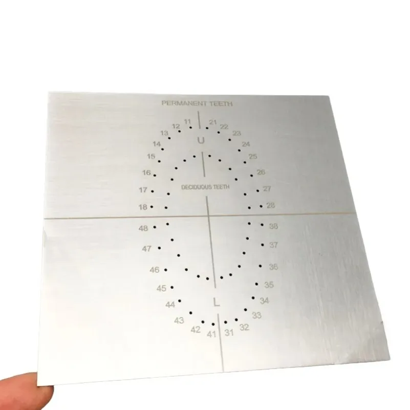 1pc Lab Rubber Dam Punch Hole Positioning Board Barrier Template with Scale Stainless Steel Lab Instrument Tools s