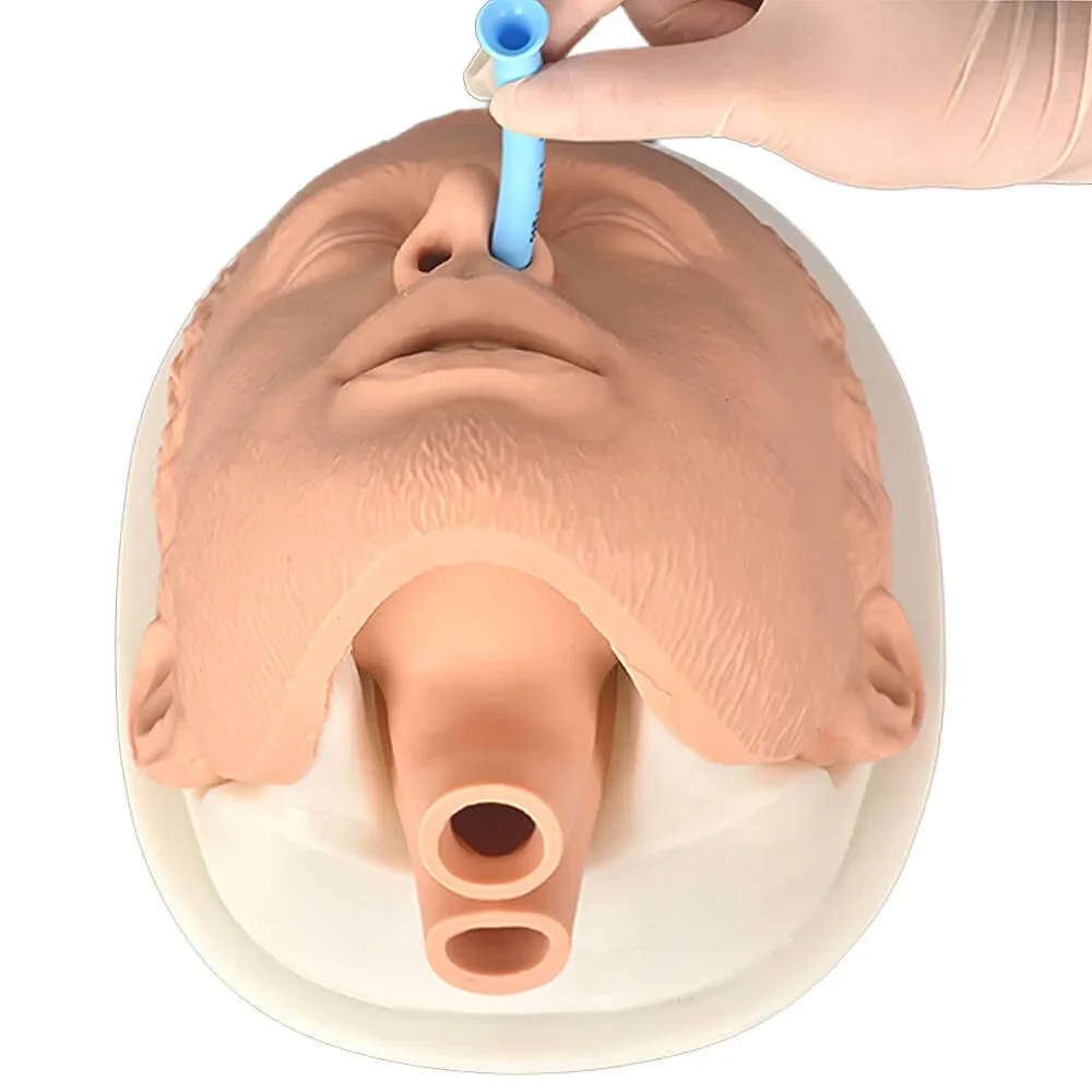 Simulation Airway Management Model Adult Intubation Manikin Head Trainer Kit with Base Nasal & Oral Airway Anatomy for EMS Train