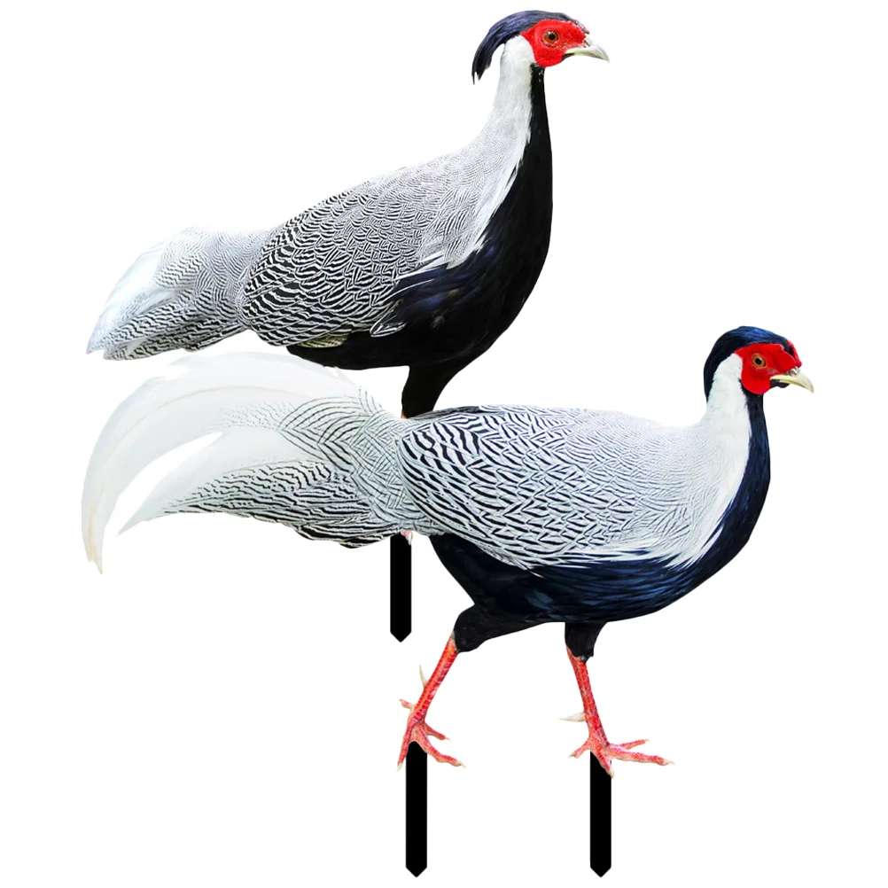 2 Pcs Pheasant Garden Decoration Yard Ornament Insert Stake Sign Stakes Chicken Yards Acrylic Outdoor Adornment Lawn Ornaments