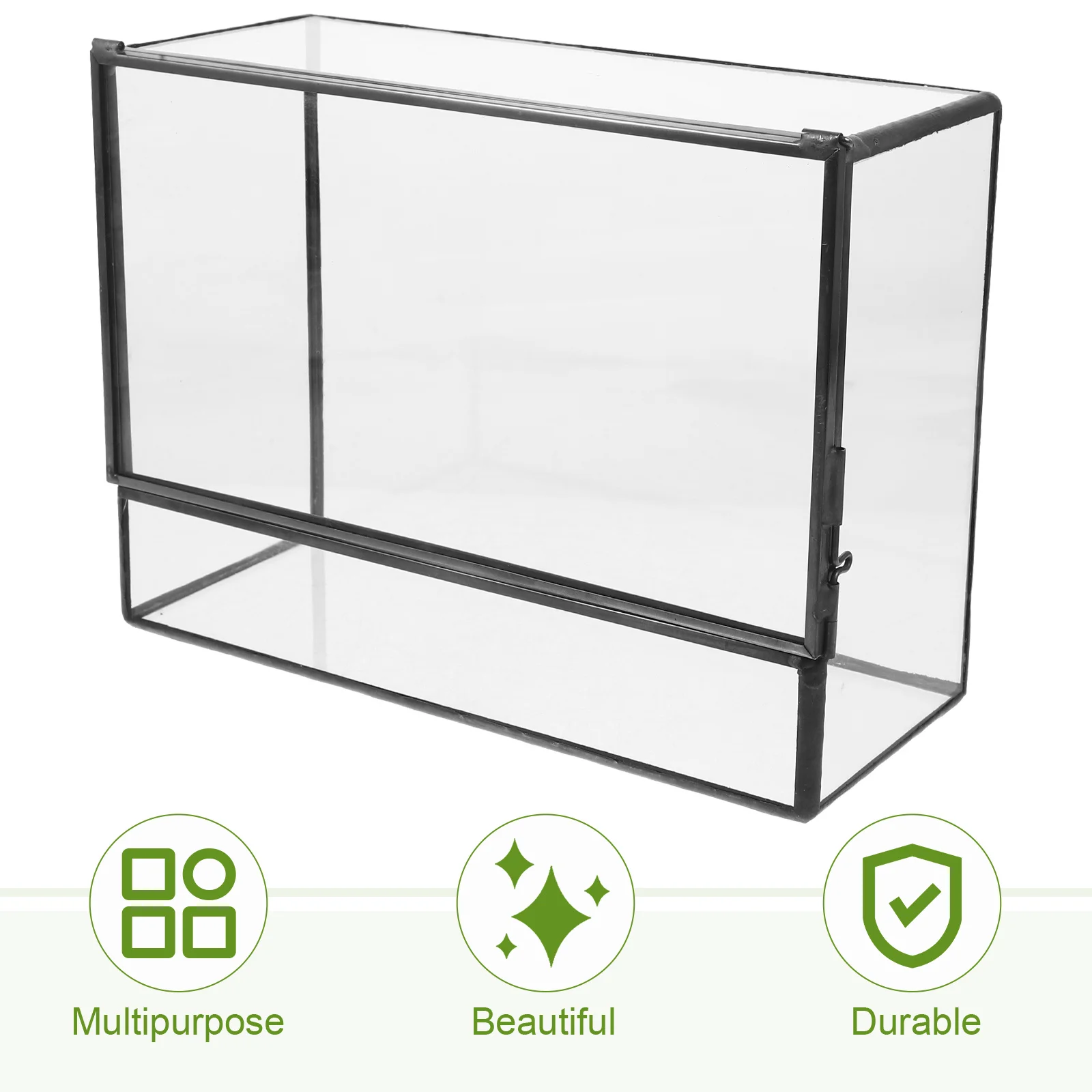 

Small Glass Terrarium Container for Plants Micro Landscape DIY Holder Moss Ecosystem Box Transparent Display Case for Desk