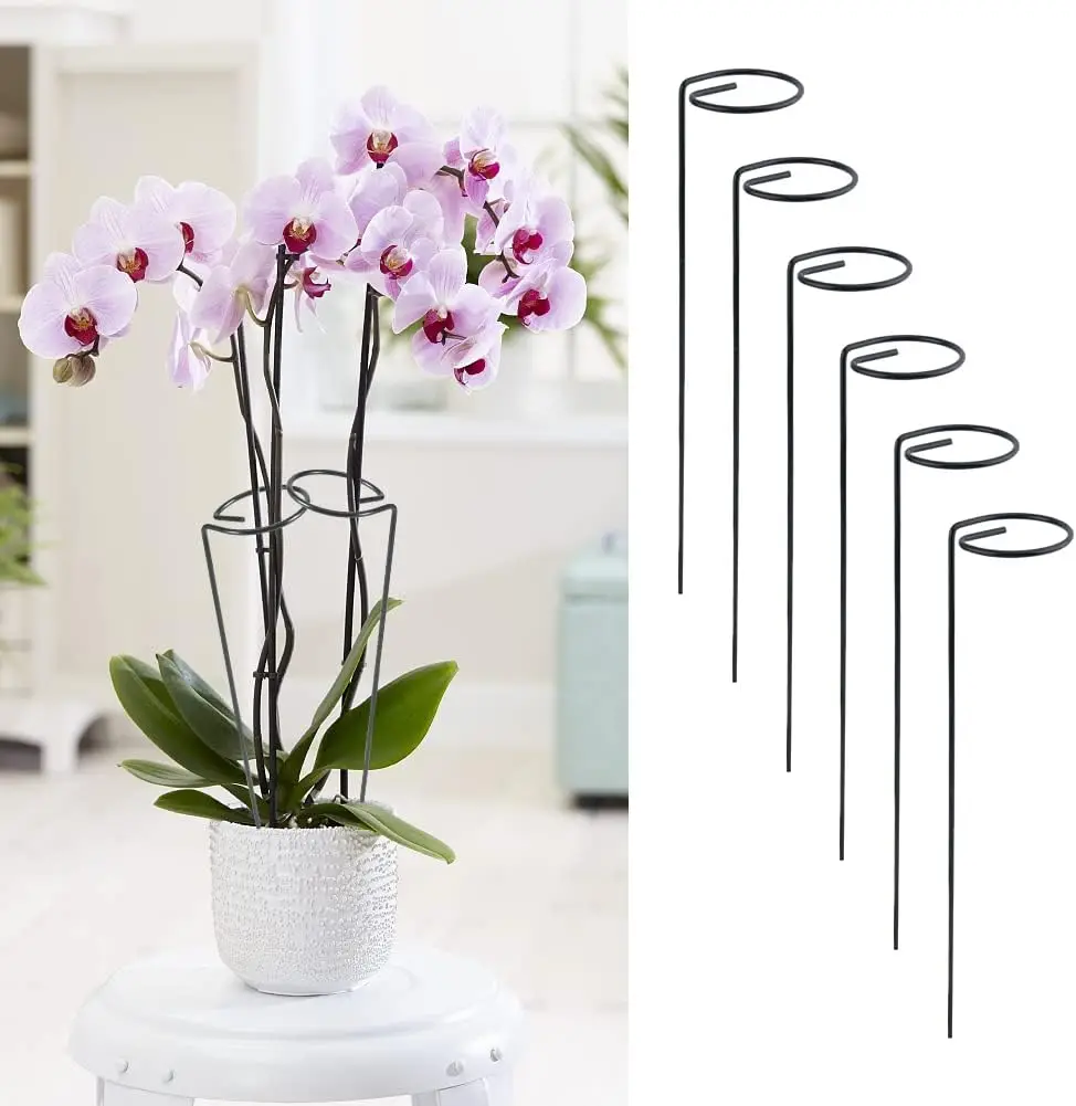 6pcs Plant Support Stakes with 12 Twisted Plant Clips, for Garden Single Stem Flowers, Tomatoes,Peony, Lily(Green)