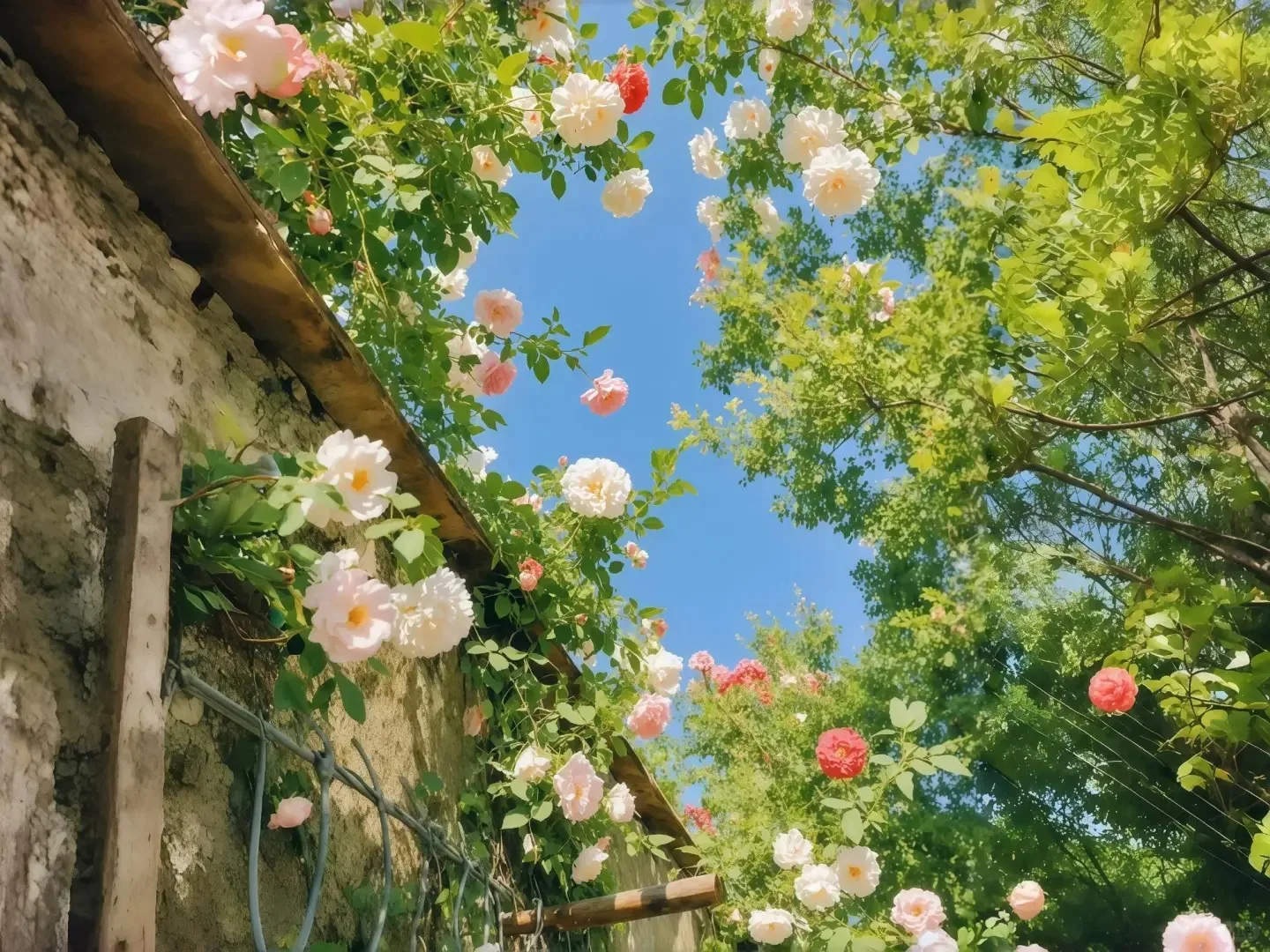 Yfun Car Radio Ster… - image