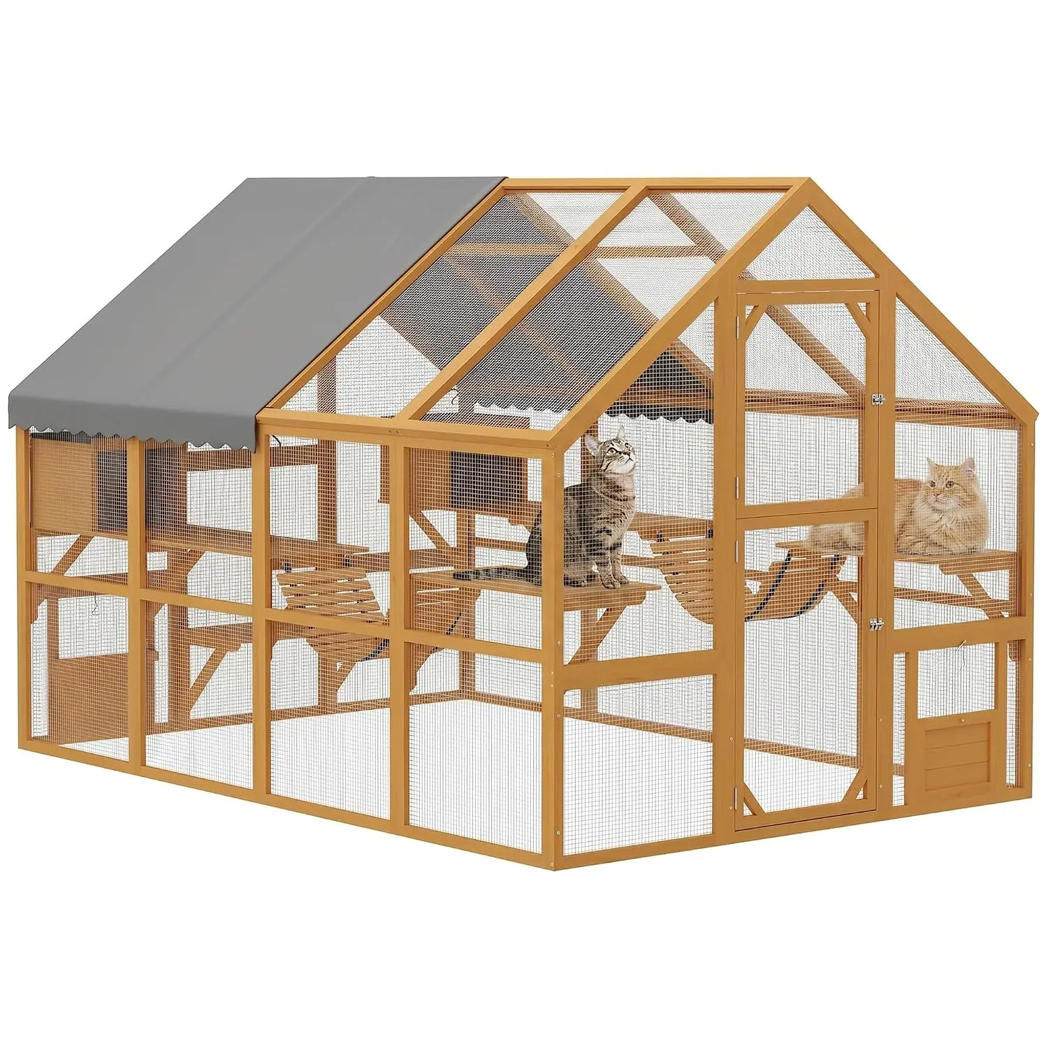 Large Outdoor Cat Enclosure for Multiple Kittens 110