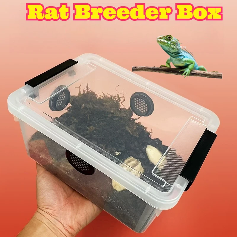 

Ventilated Isopod Roly Poly Breeding Box Novice Insect Rearing Kit Dubia Roach Cherry Roach Transparent Habitat Portable Simple