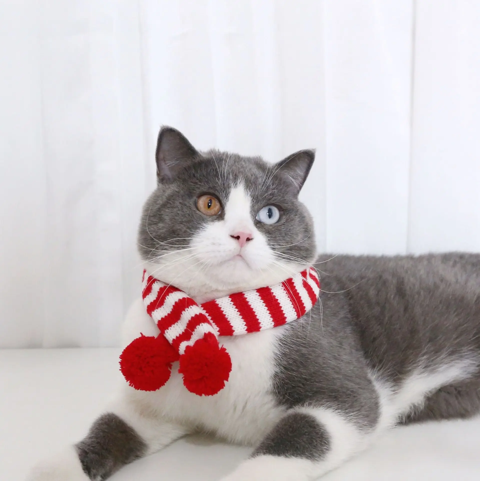 Accesorios de disfraz de Papá Noel para mascota, bufanda de árbol de Navidad de punto a rayas para cachorro de perro, bufanda de lana ajustable para gato, bufanda cálida para el cuello