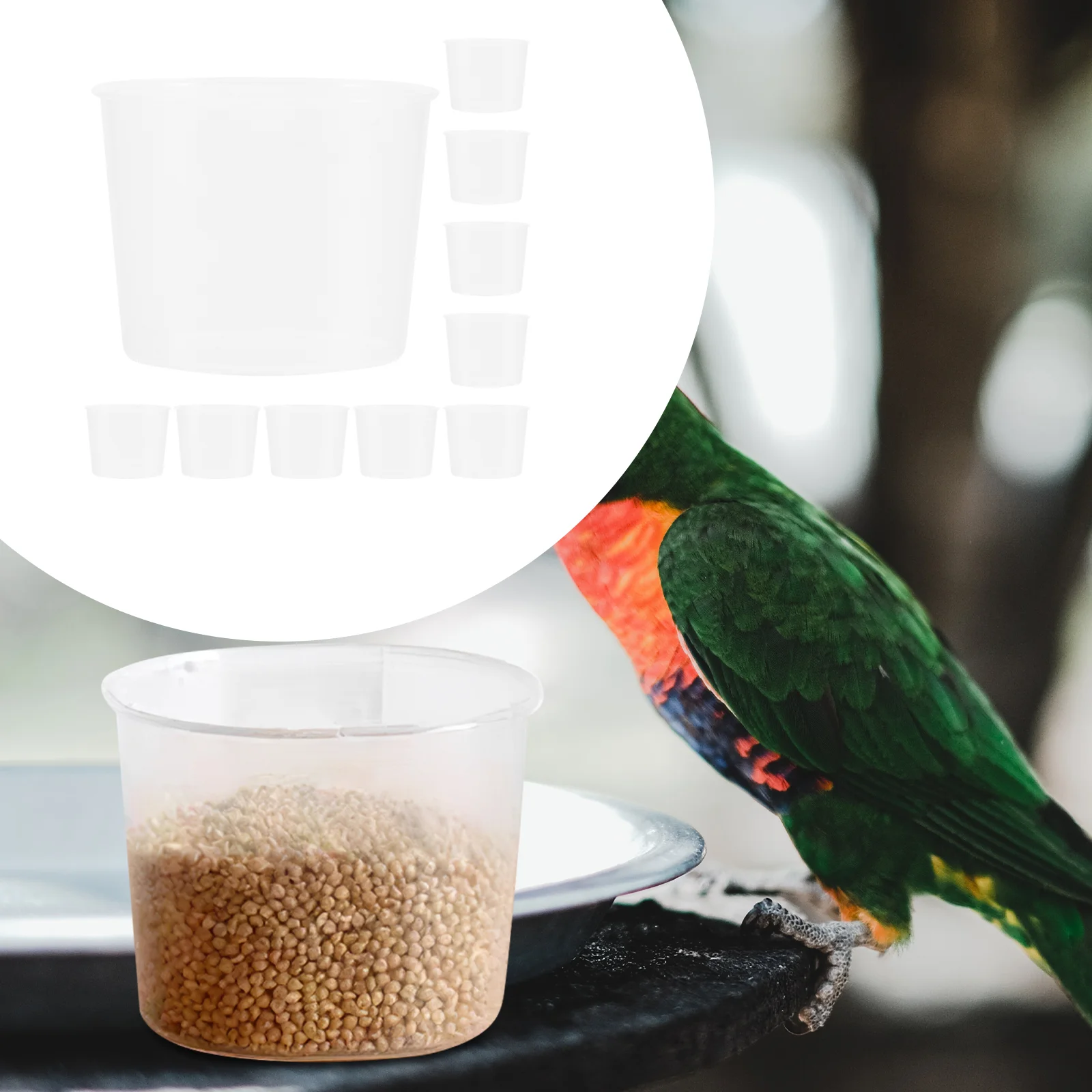 

10 Pcs Bird Feeder Water Food Container Dispenser Bowls for Cage Feeding Basin Plastic Parakeet