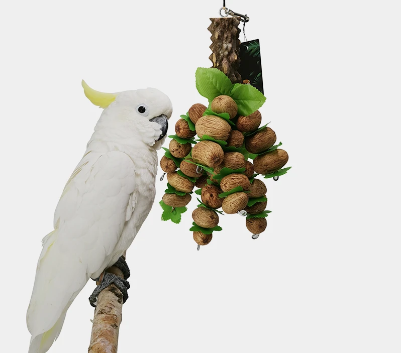 

Parrot Nut Bite String Parrot Toy Bite Large Parrot Toy Xuan Feng Parrot Toy Peony