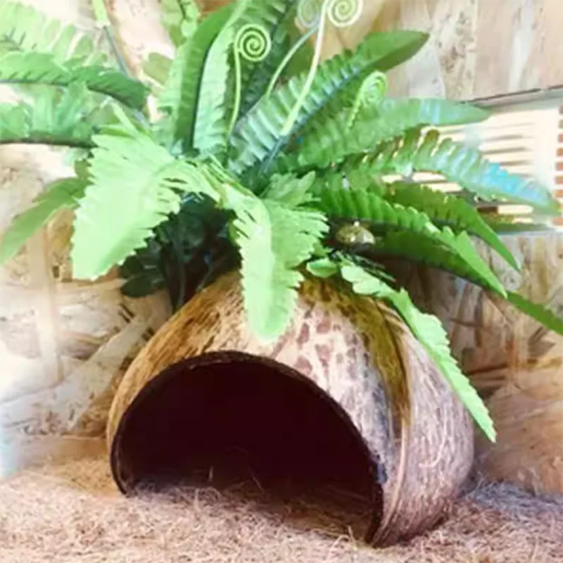 Thumbnail 2 - #29 Pet Habitat Decors List of Top Picks