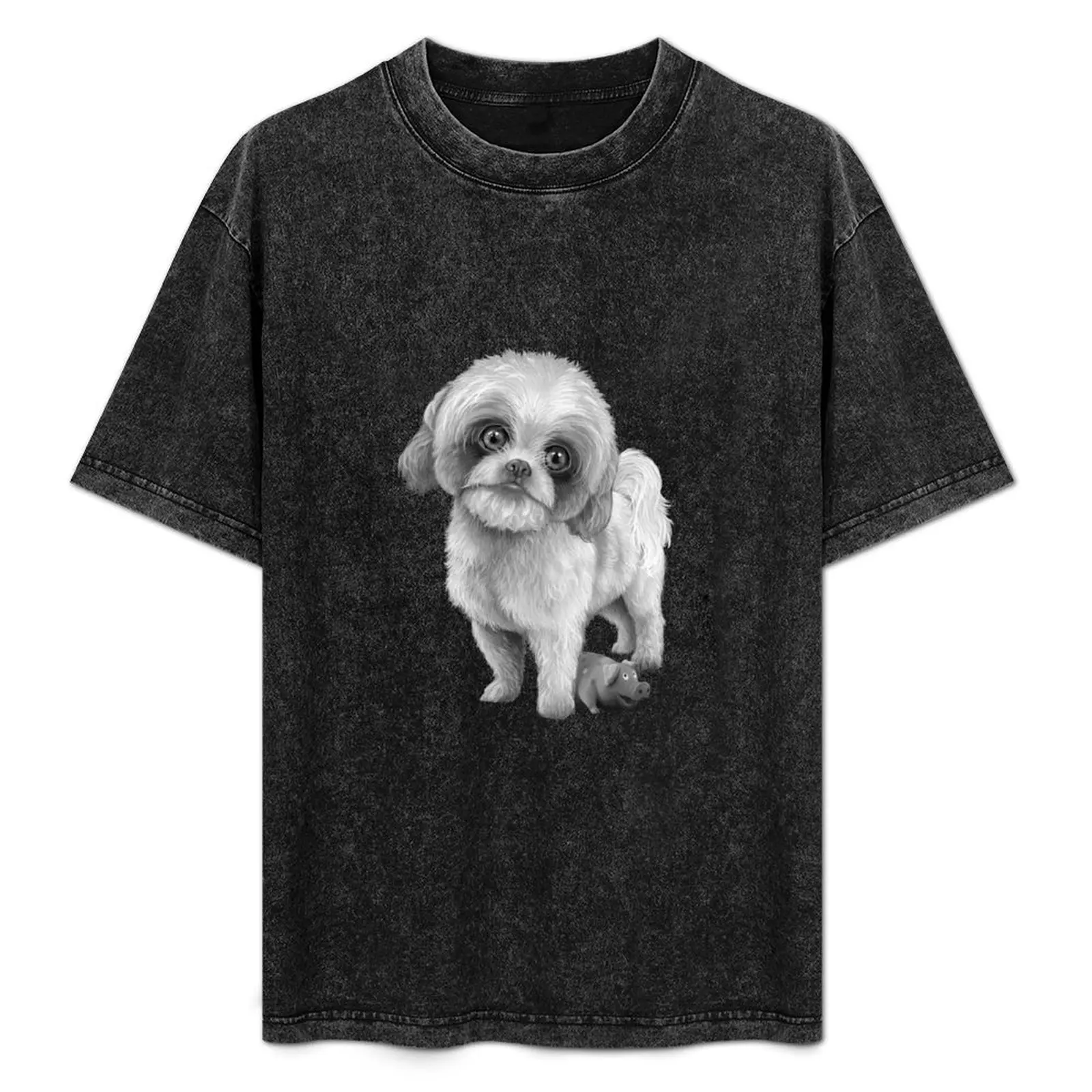 

Levi T-Shirt Vintage Style Printed Top