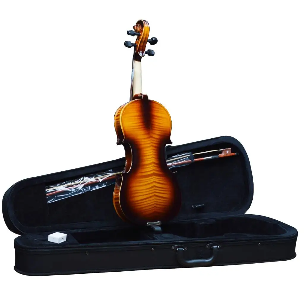 VIOLIN FULL TOOL MANUAL RAYMOND 4/4 (MRV44FLM) Music, Acoustic, Hobby, Special, New Generation, made in Turkey, 2021