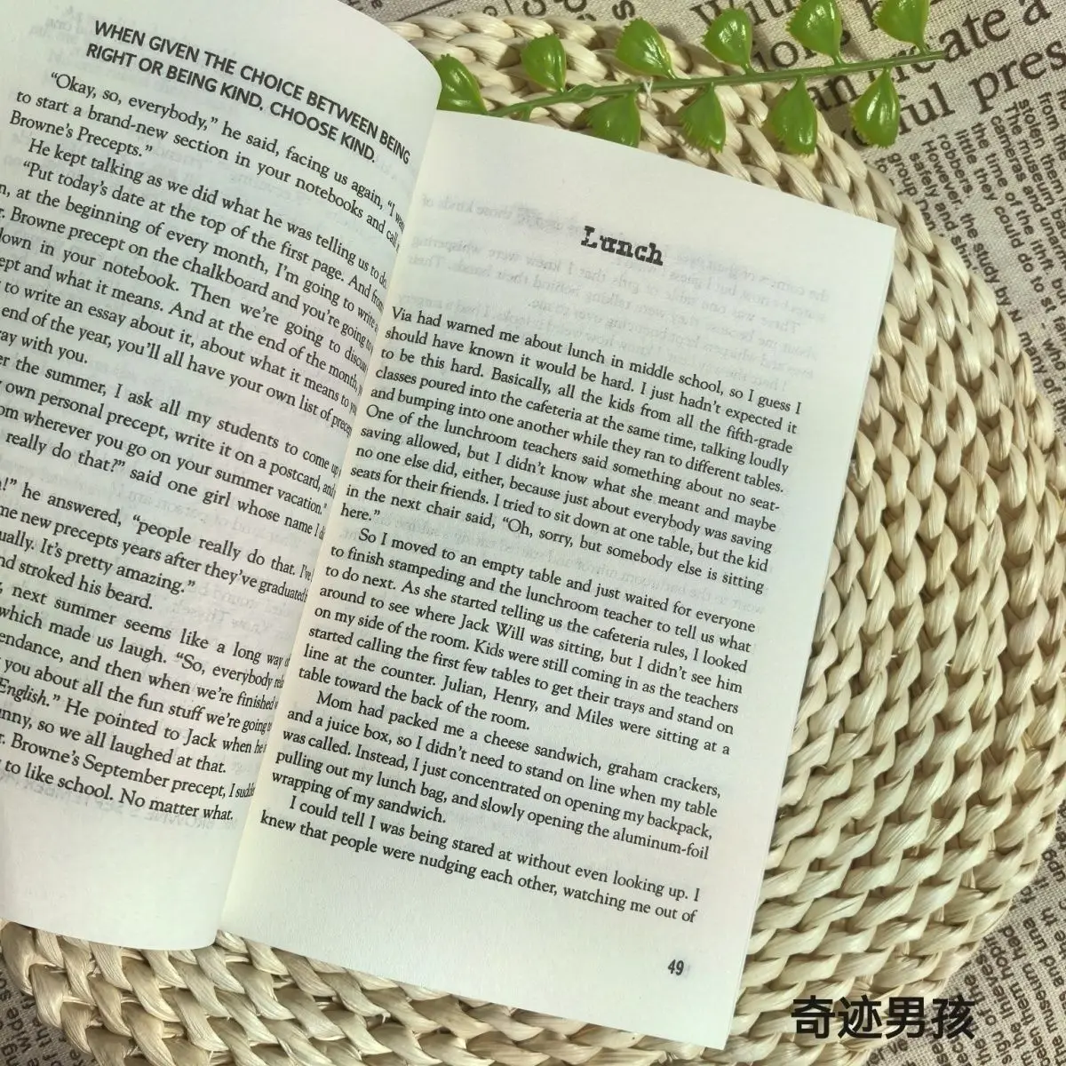 كتاب ووندر بوي الإنجليزي رواية باراكيو الأصلية للعائلة والأبوية والشباب رواية ملهمة كتب إنجليزية Libros Livros