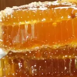 Beekeeping Equipmen…