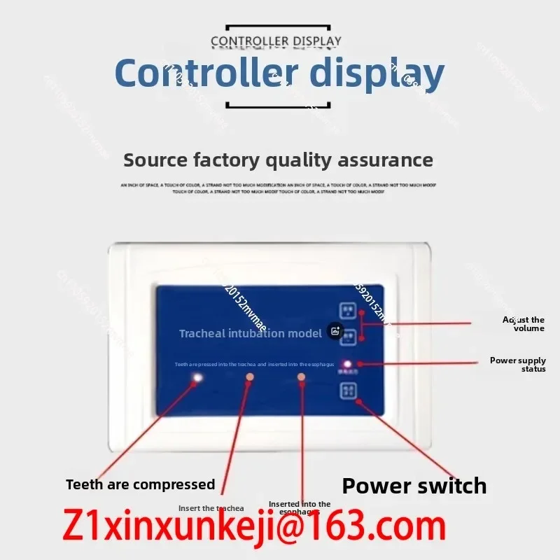 Hot Selling Human Electronic Tracheal Intubation Training Model with Tooth Pressure Alarm Device