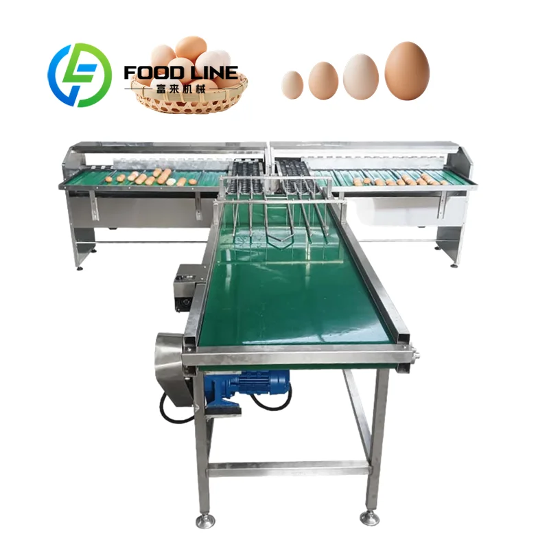 Egg Sorting Machine Low Vibration Running Components Cooperate With Egg Grading Machine Keeping Precise Weight Classification