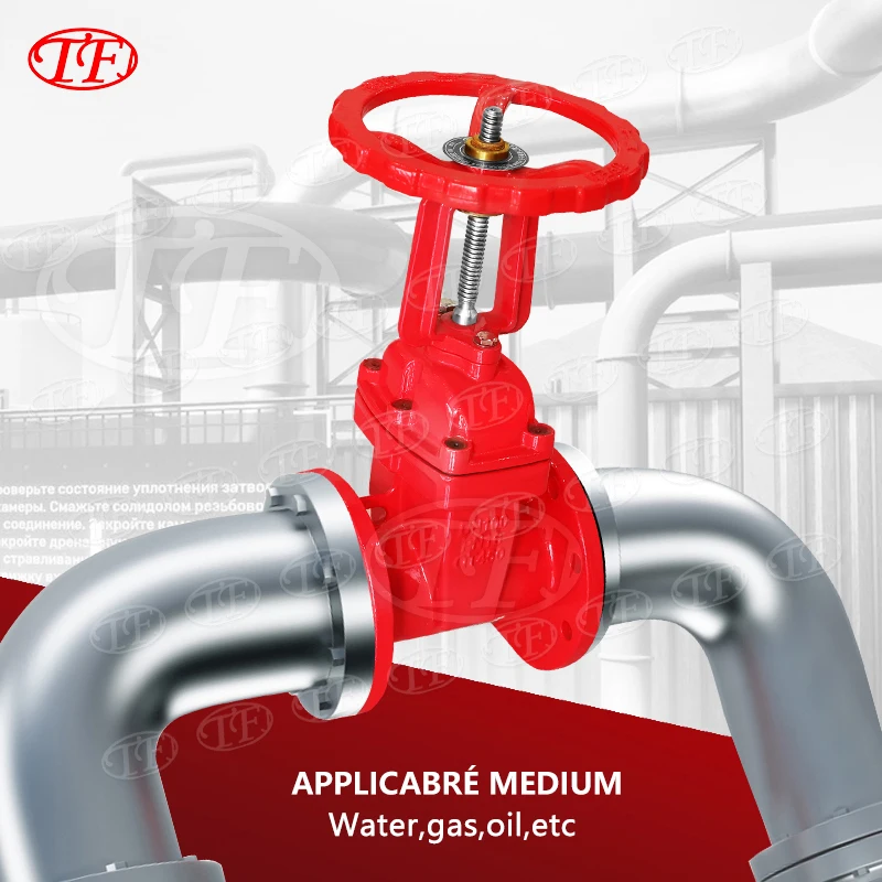 High Quality Fire Fighting Ductile Iron Valves Manufacture 2